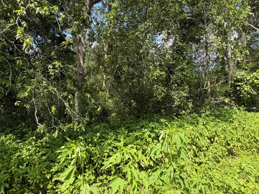 97 Lost Forest Drive Guy, TX 77444