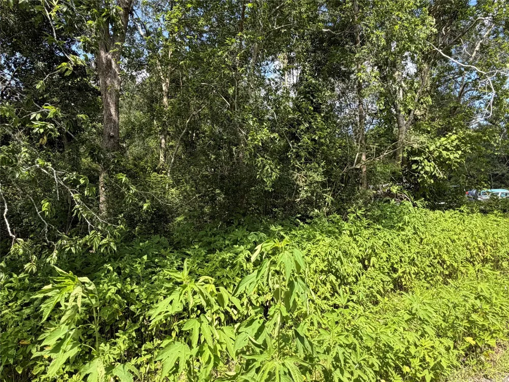 97 Lost Forest Drive Guy, TX 77444