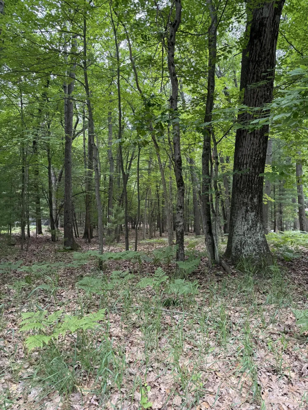 127 Wayne Road Pentwater, MI 49449