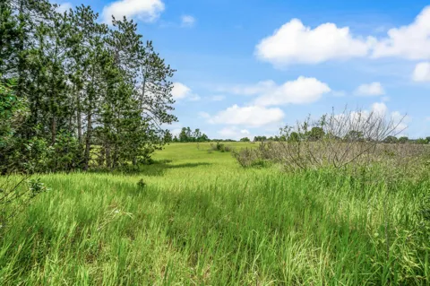 13751 Mackinaw Trail