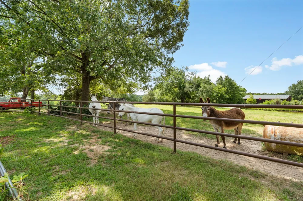 13494 County Road 2919 Eustace, TX 75124