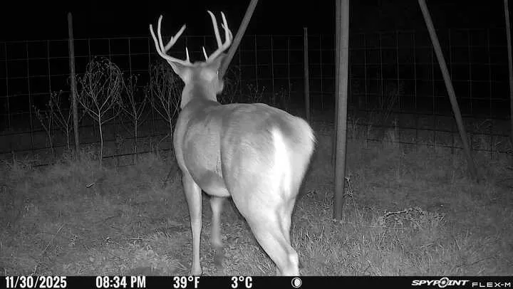 13494 County Road 2919 Eustace, TX 75124