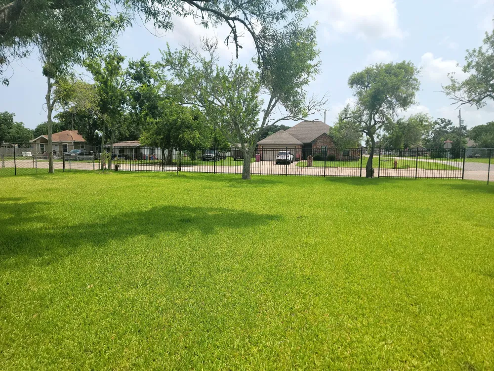 220 Avenue B Freeport, TX 77541