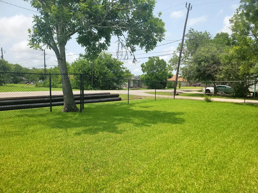 220 Avenue B Freeport, TX 77541