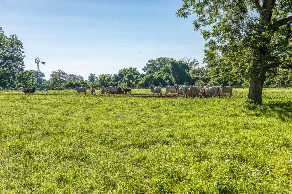 20755 Holle Lane Washington, TX 77880