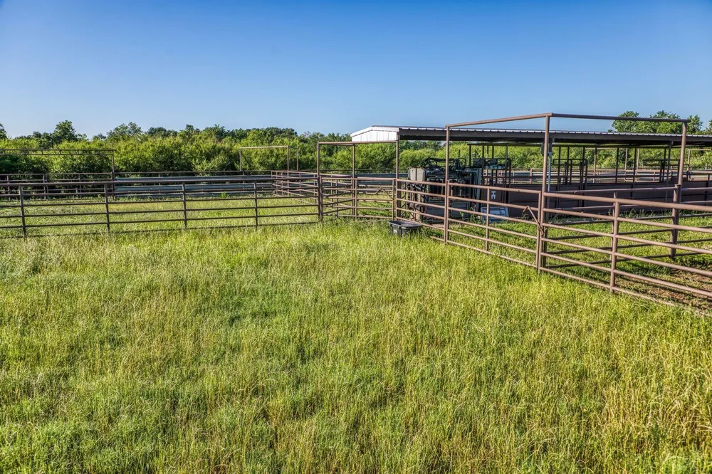 20755 Holle Lane Washington, TX 77880