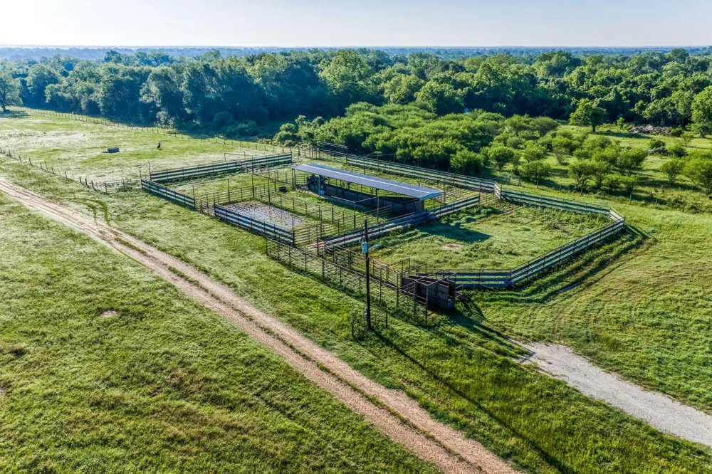 20755 Holle Lane Washington, TX 77880