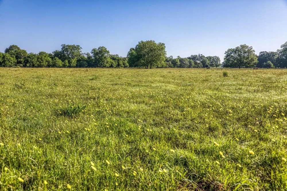 20755 Holle Lane Washington, TX 77880