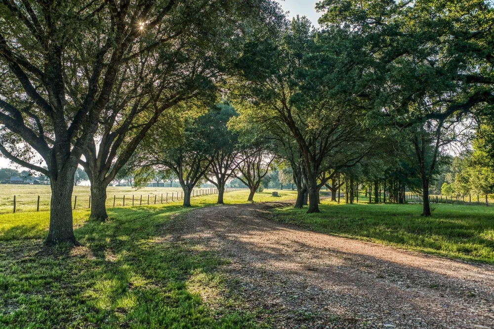 20755 Holle Lane Washington, TX 77880