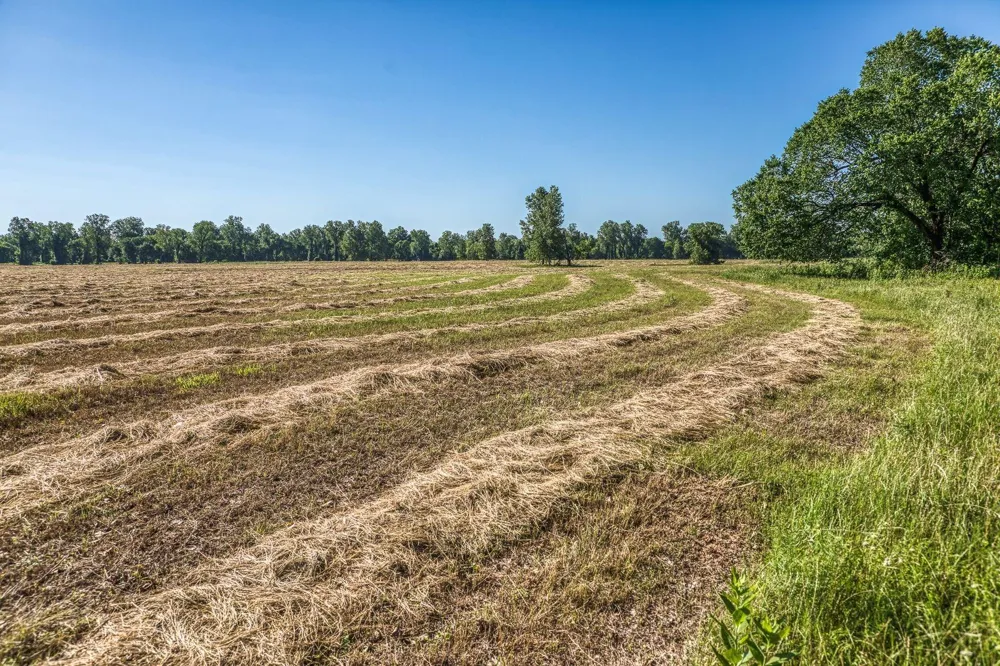 20755 Holle Lane Washington, TX 77880