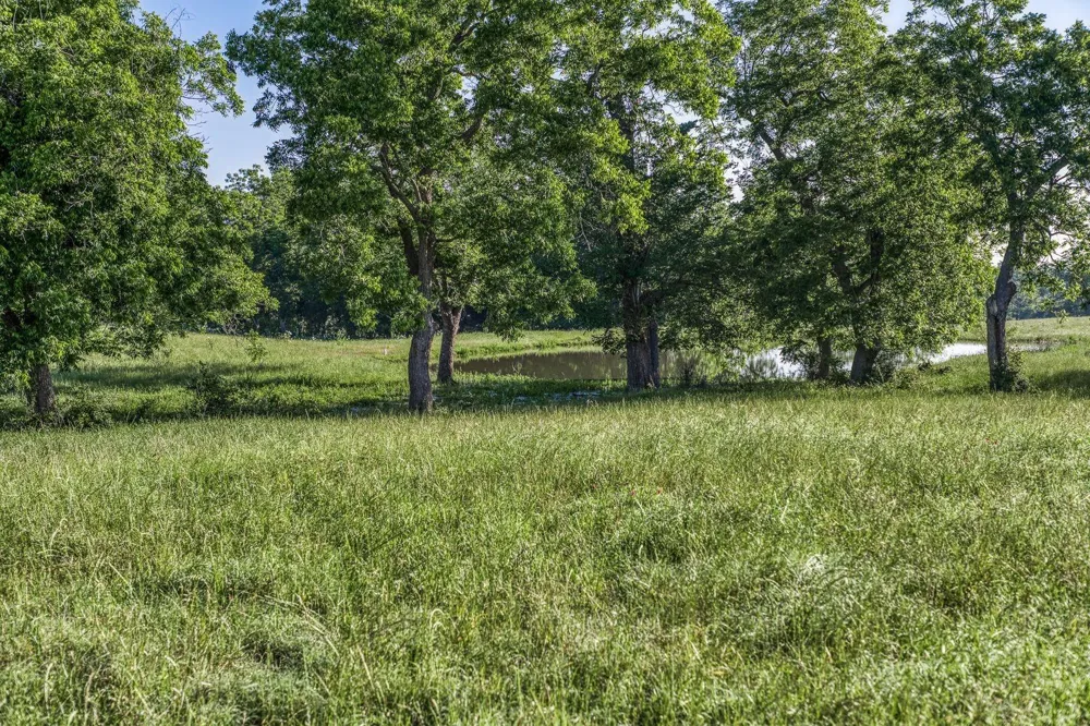 20755 Holle Lane Washington, TX 77880
