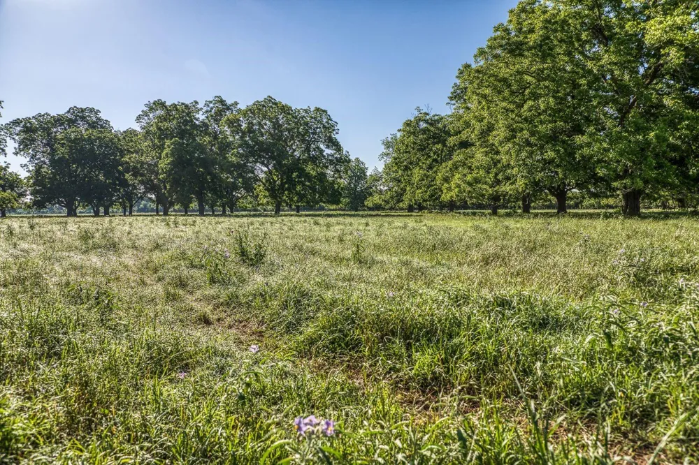 20755 Holle Lane Washington, TX 77880