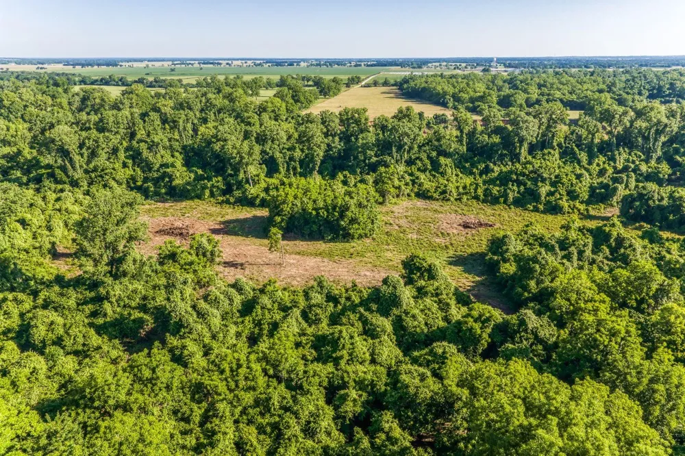 20755 Holle Lane Washington, TX 77880