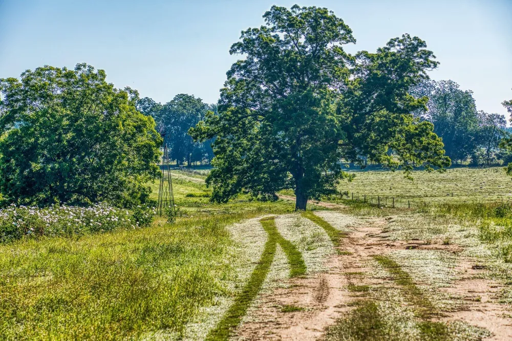 20755 Holle Lane Washington, TX 77880