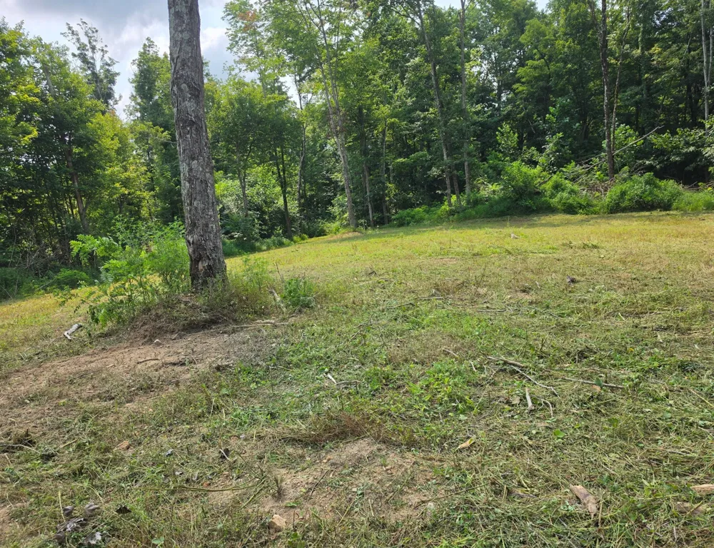 1767 Public Well Rd Pleasant Shade, TN 37145