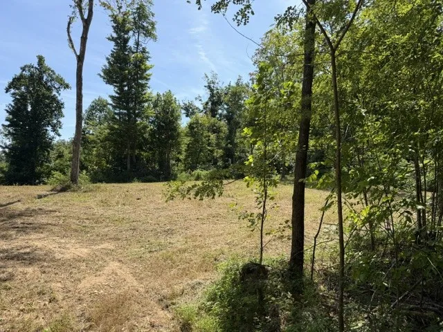 1767 Public Well Rd Pleasant Shade, TN 37145