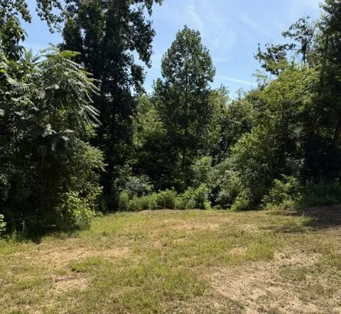 1767 Public Well Rd Pleasant Shade, TN 37145