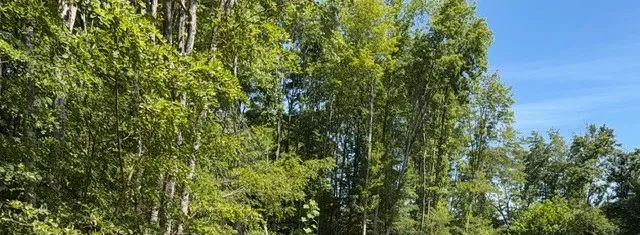 1767 Public Well Rd Pleasant Shade, TN 37145