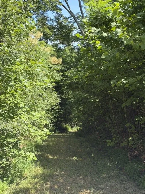 1767 Public Well Rd Pleasant Shade, TN 37145