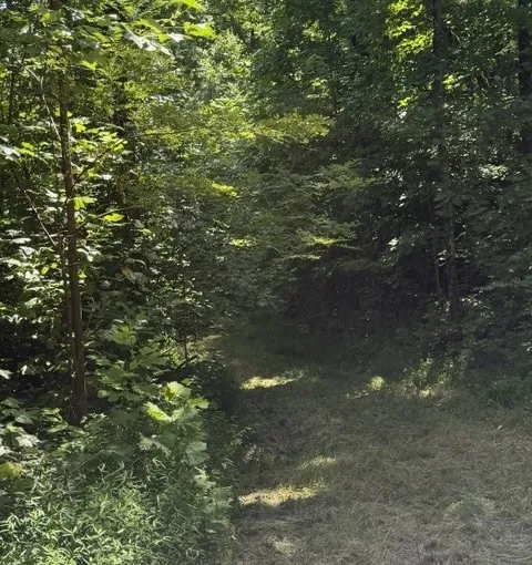 1767 Public Well Rd Pleasant Shade, TN 37145