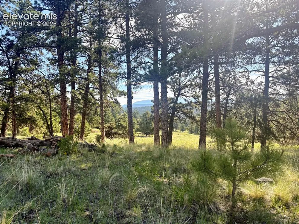475 Sioux Road Florissant, CO 80816