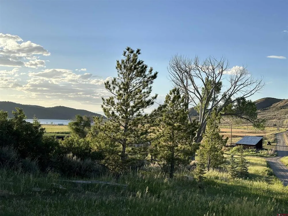 81438 92 Highway Crawford, CO 81415