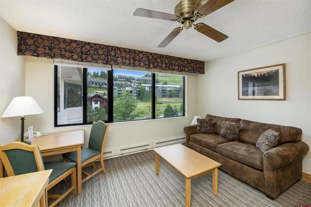 6 Emmons Road #572 Crested Butte, CO 81225