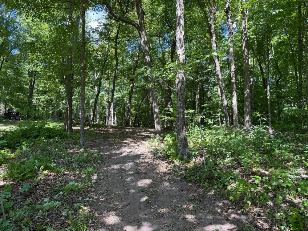 W2371 Blackhawk Road Sarona, WI 54870