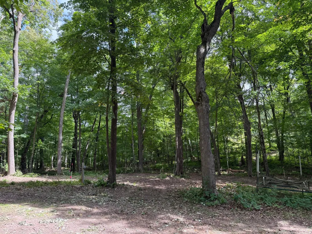 W2371 Blackhawk Road Sarona, WI 54870