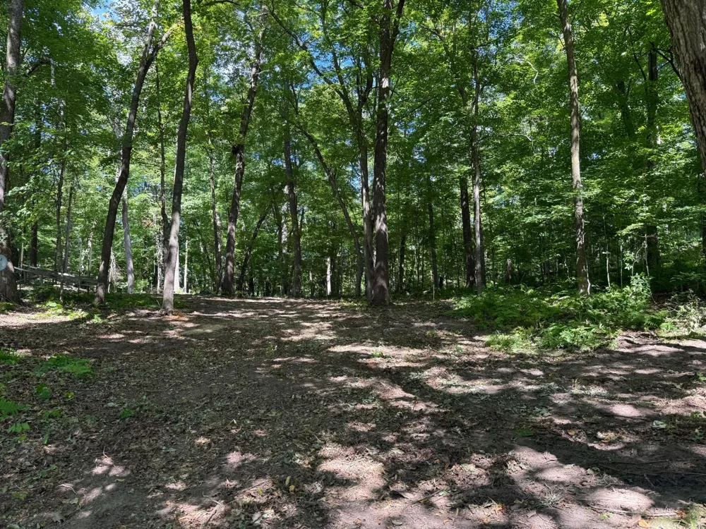 W2371 Blackhawk Road Sarona, WI 54870