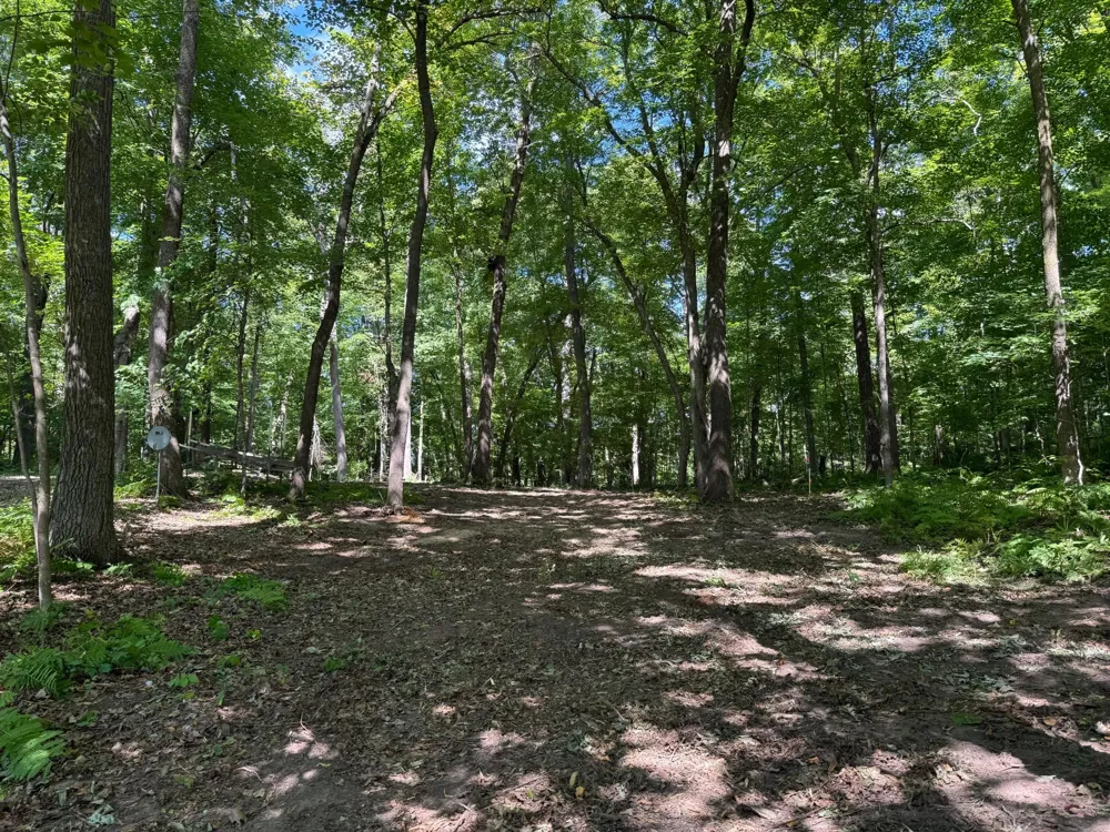 W2371 Blackhawk Road Sarona, WI 54870