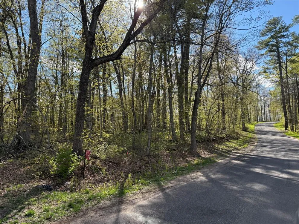 W2371 Blackhawk Road Sarona, WI 54870