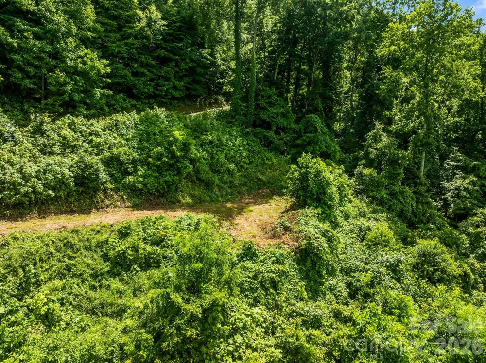 lot#36 Fern Brook Drive Waynesville, NC 28786