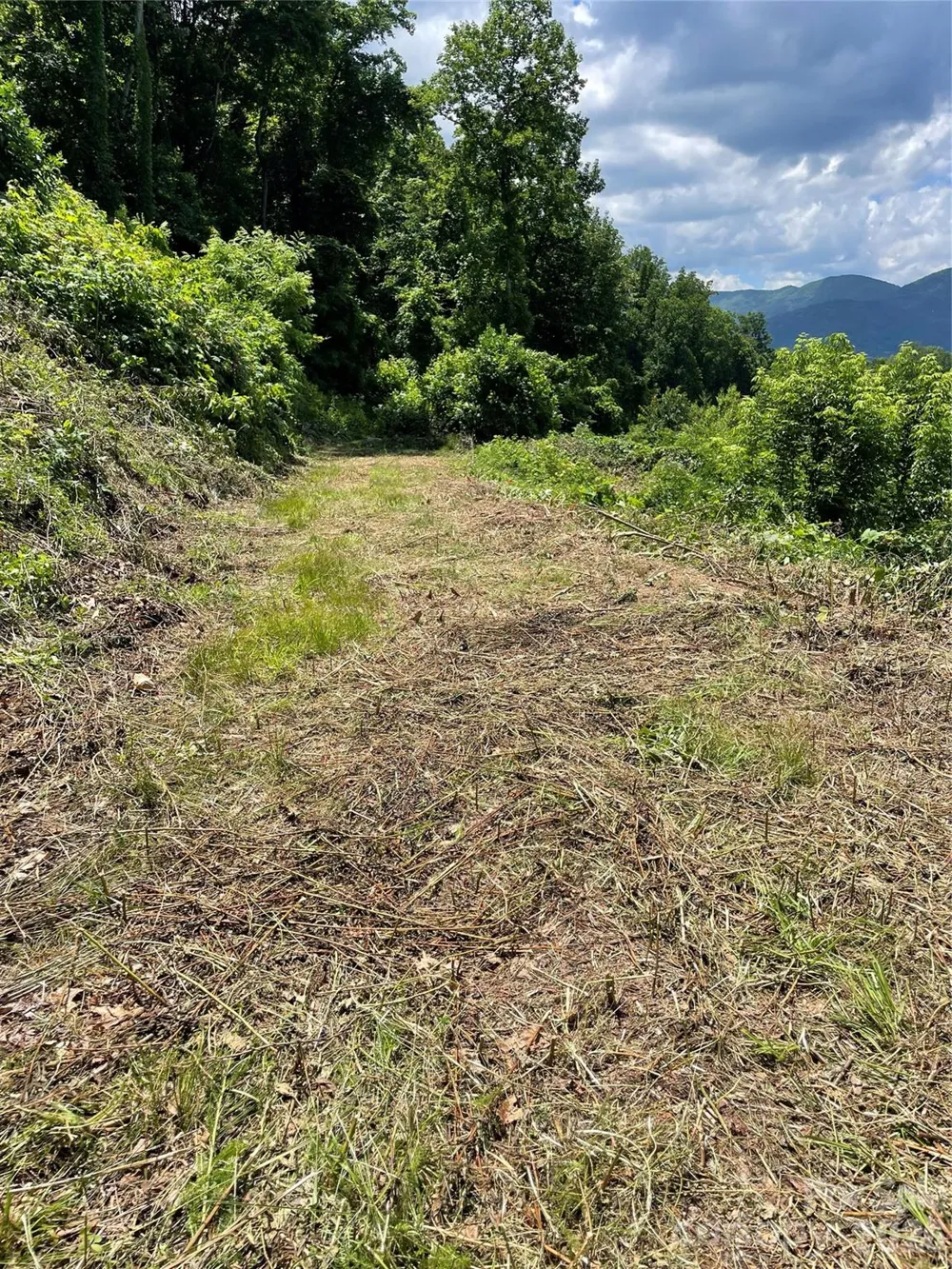 lot#36 Fern Brook Drive Waynesville, NC 28786