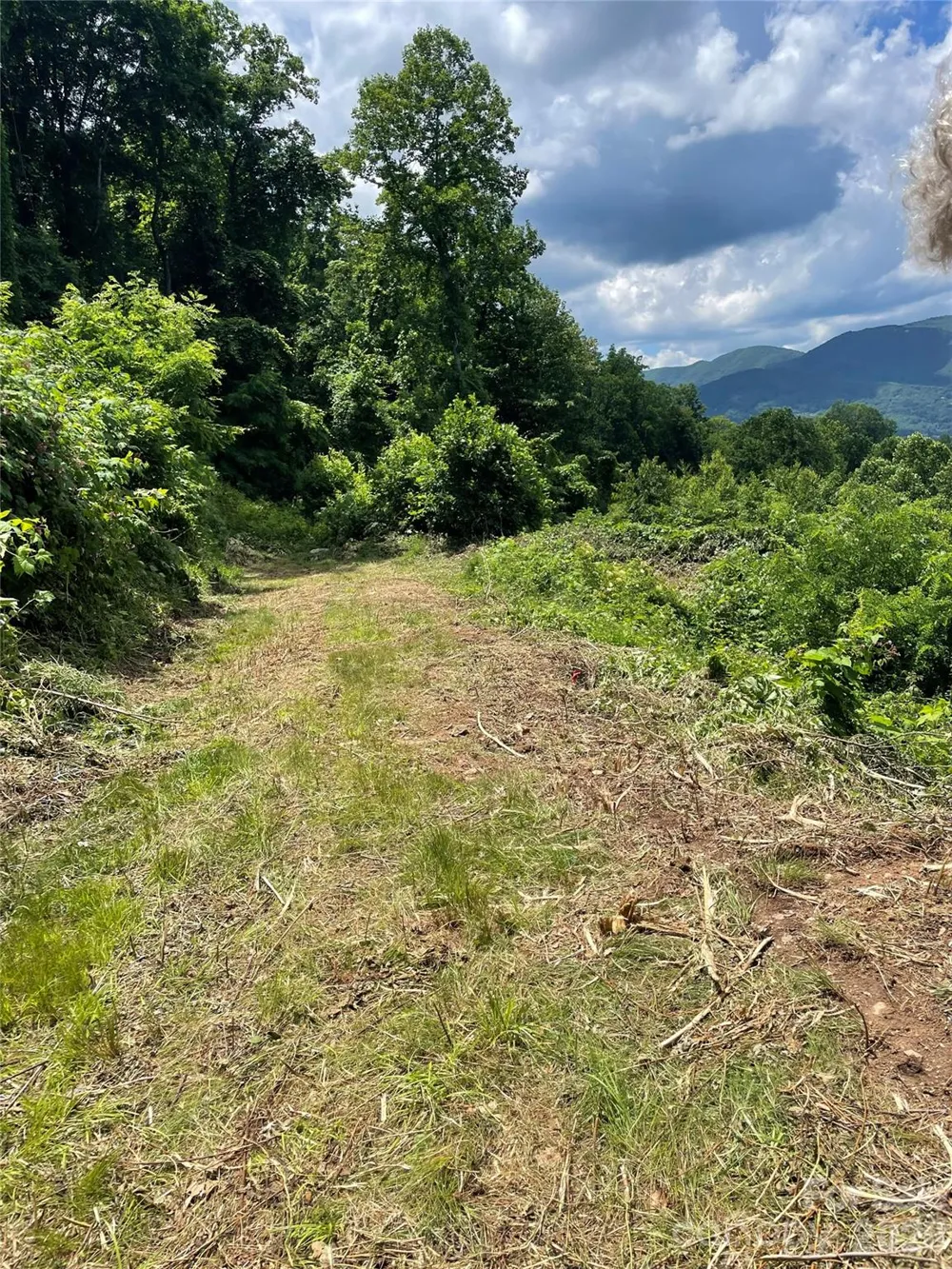lot#36 Fern Brook Drive Waynesville, NC 28786