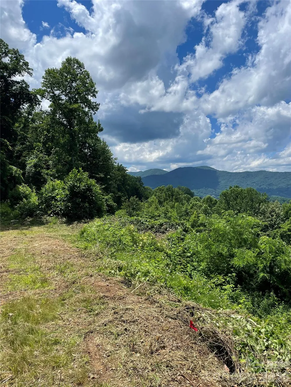 lot#36 Fern Brook Drive Waynesville, NC 28786