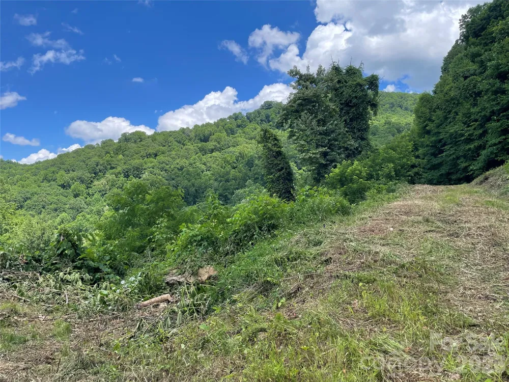 lot#36 Fern Brook Drive Waynesville, NC 28786