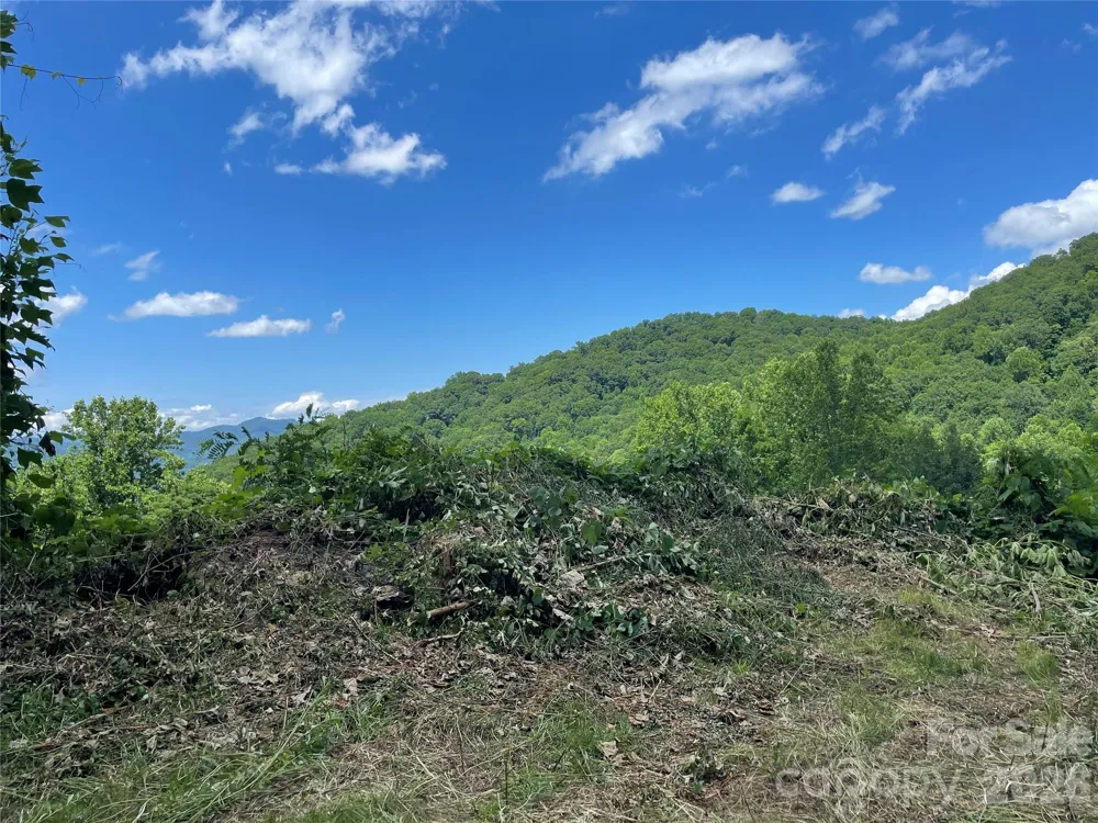 lot#36 Fern Brook Drive Waynesville, NC 28786