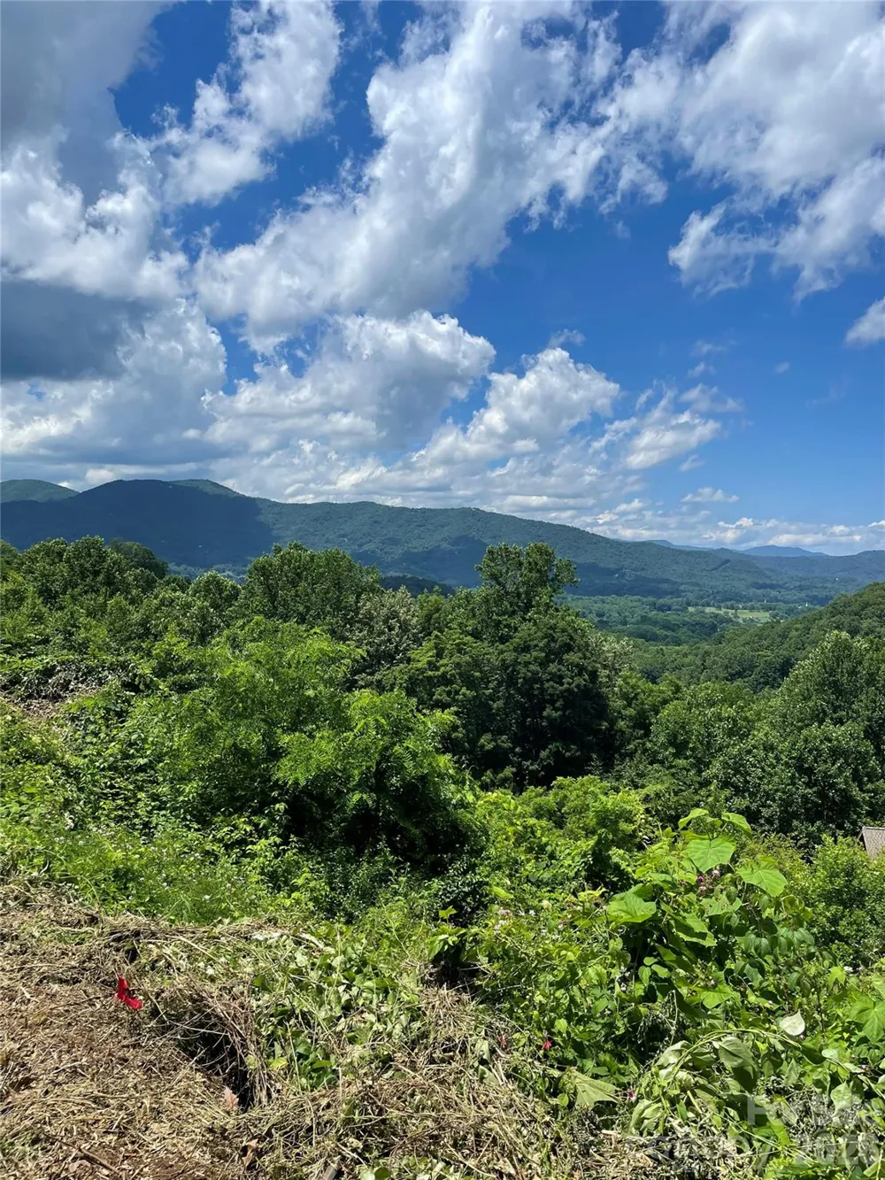 lot#36 Fern Brook Drive Waynesville, NC 28786