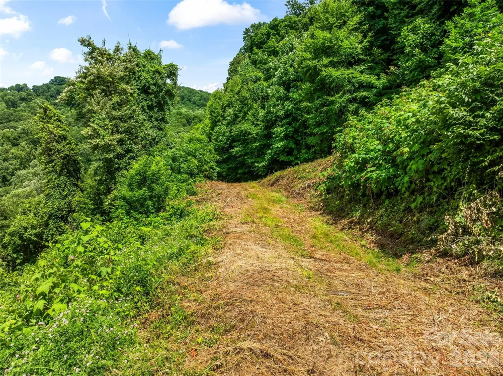 lot#36 Fern Brook Drive Waynesville, NC 28786