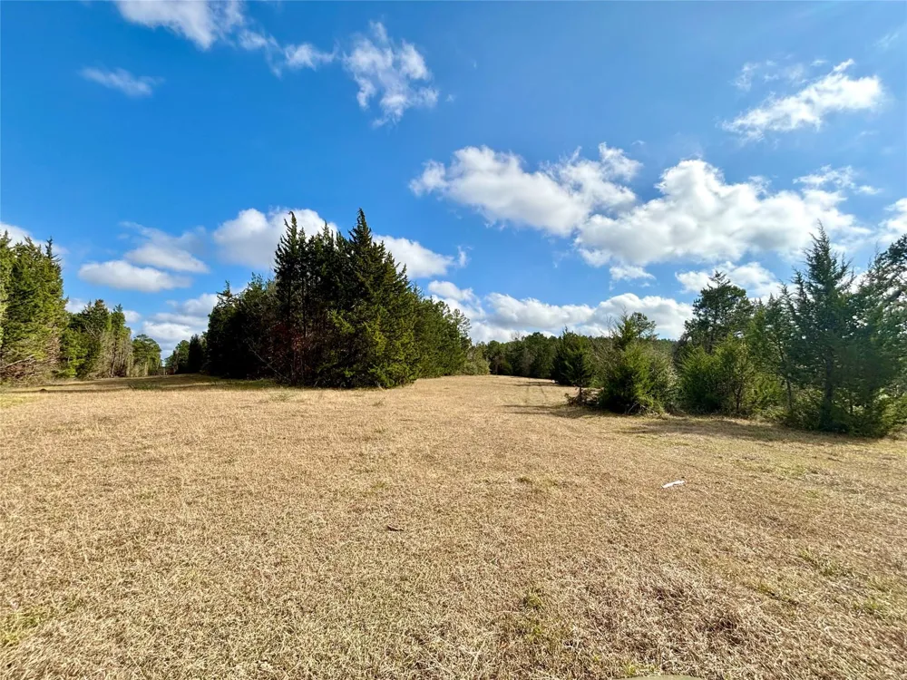 235 Private Road 6912 Colmesneil, TX 75938