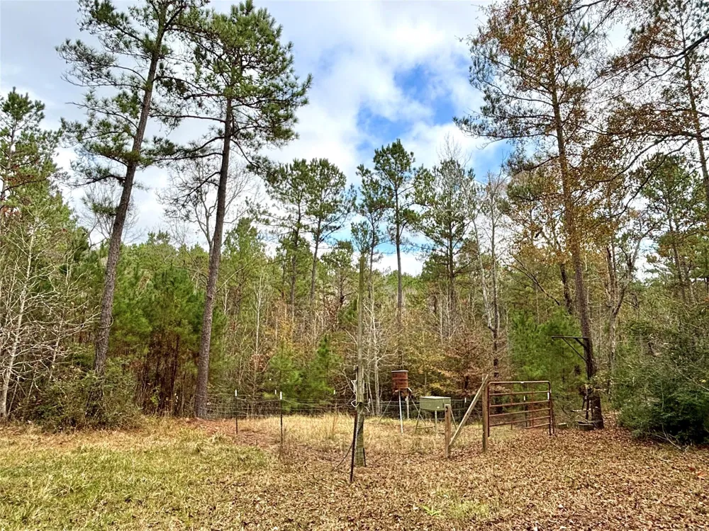 235 Private Road 6912 Colmesneil, TX 75938