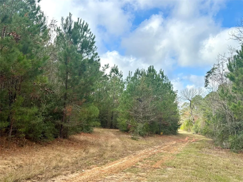 235 Private Road 6912 Colmesneil, TX 75938