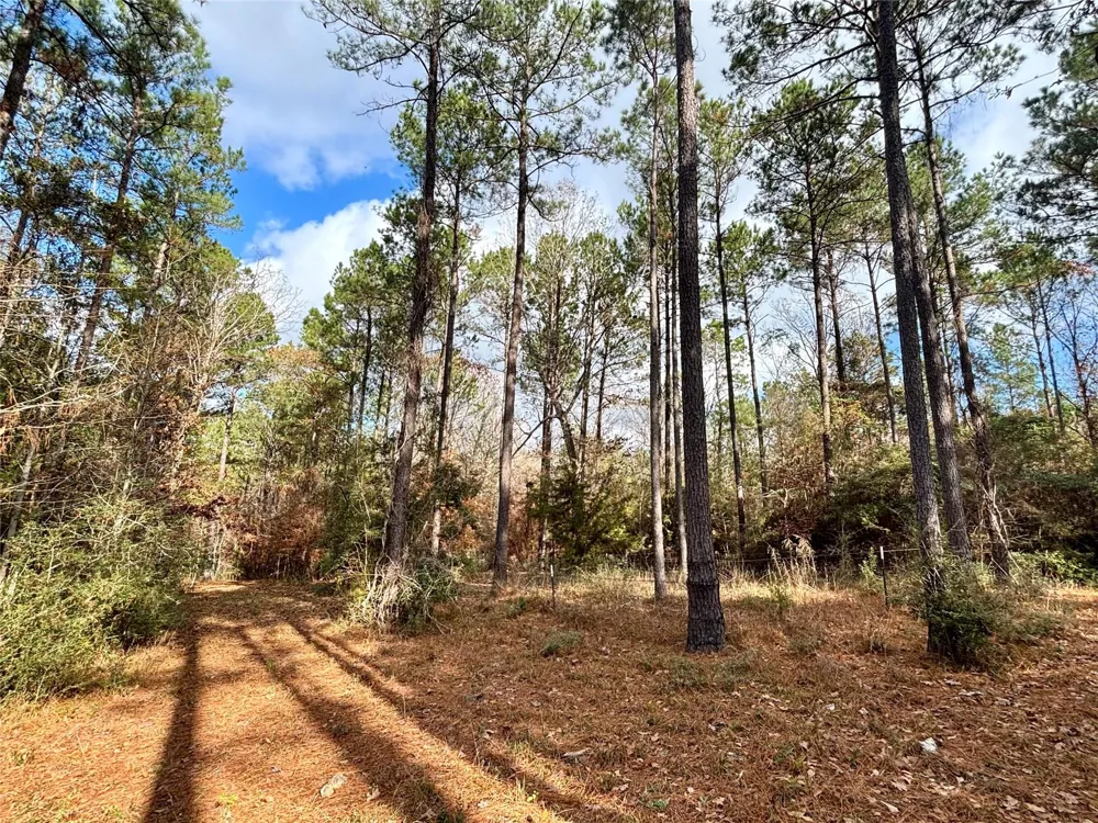 235 Private Road 6912 Colmesneil, TX 75938