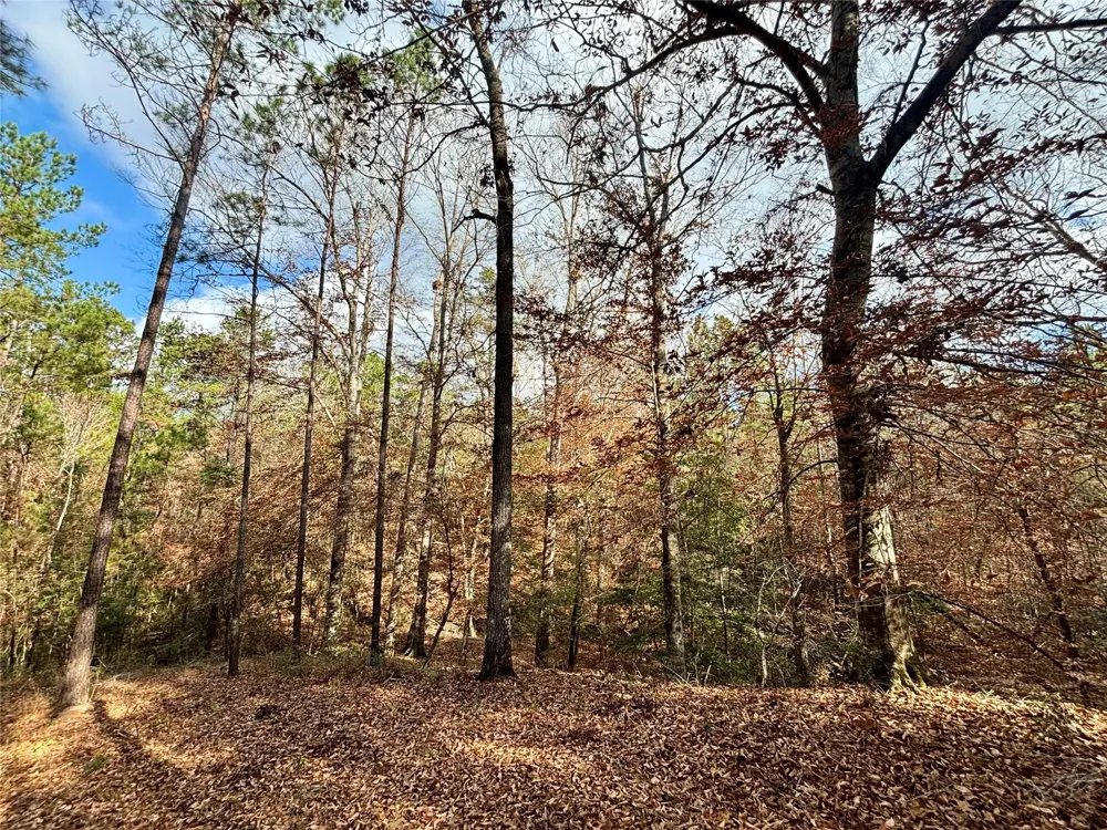 235 Private Road 6912 Colmesneil, TX 75938