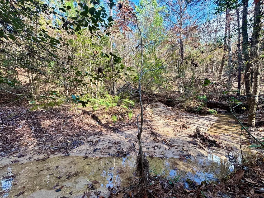 235 Private Road 6912 Colmesneil, TX 75938