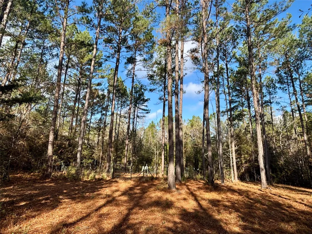 235 Private Road 6912 Colmesneil, TX 75938