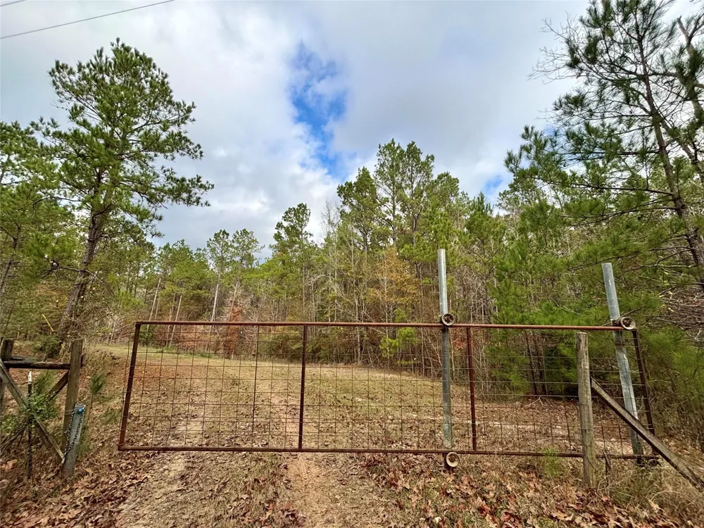 235 Private Road 6912 Colmesneil, TX 75938