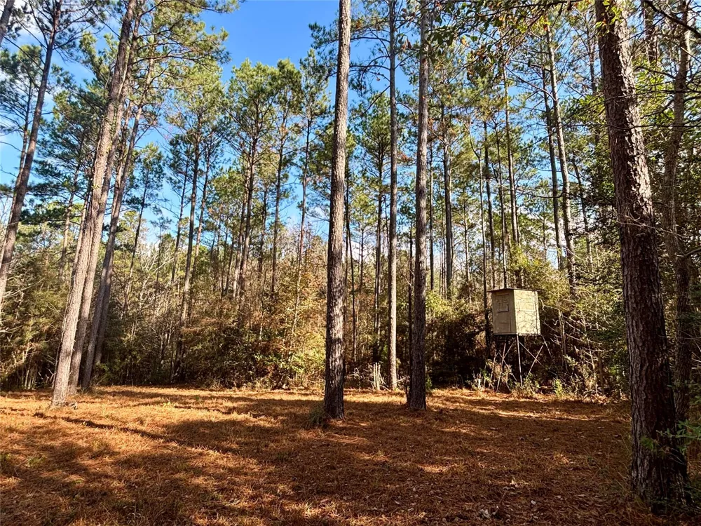 235 Private Road 6912 Colmesneil, TX 75938