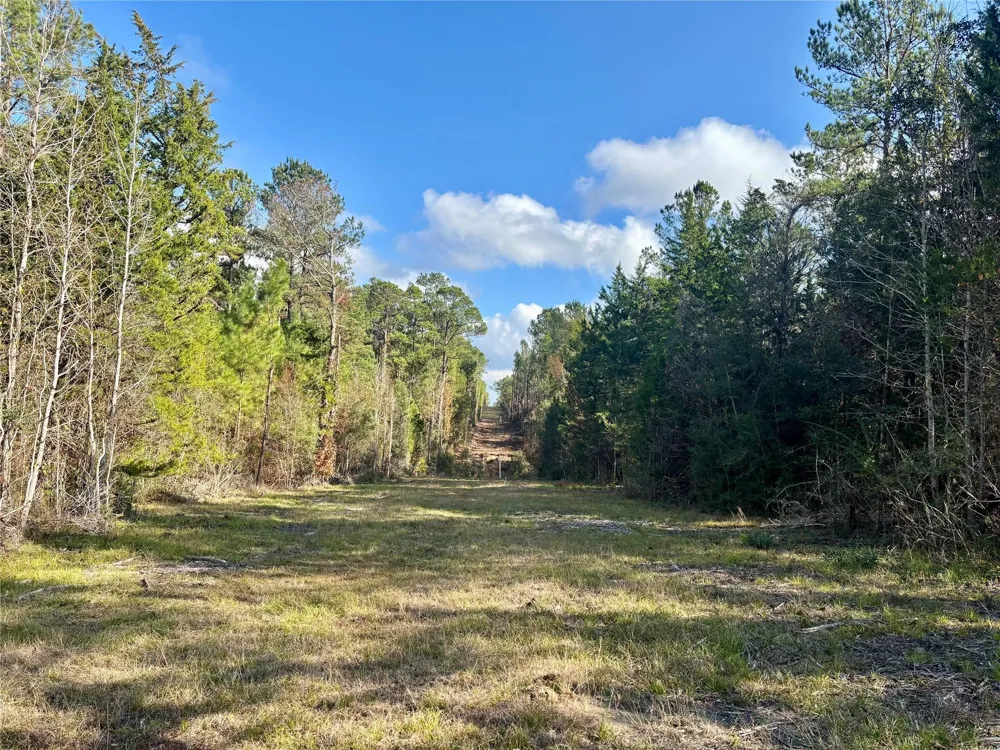 235 Private Road 6912 Colmesneil, TX 75938